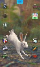 Talking Rabbit截图3