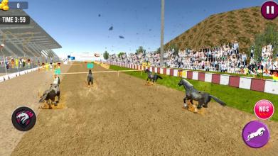 Angry Horse Racing 3D Simulator截图2