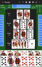 Pinochle by NeuralPlay截图4