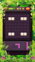 Block Puzzle Level截图2