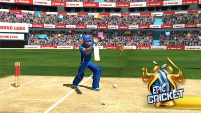 Epic Cricket - Big League Game截图1