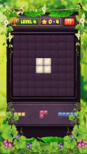 Block Puzzle Level截图4