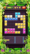 Block Puzzle Level截图1