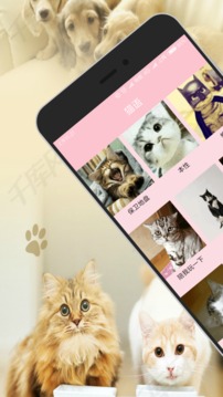 人貓交流器截圖