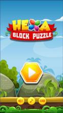 Hexa Block 1010截图2