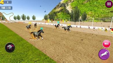 Angry Horse Racing 3D Simulator截图3