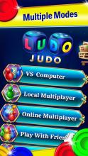 Ludo Judo截图4