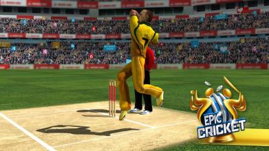 Epic Cricket - Big League Game截图2