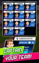 Stick Cricket Super League截图4