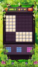 Block Puzzle Level截图5