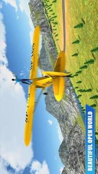 Flight Simulator 2019 - Free Flying截图