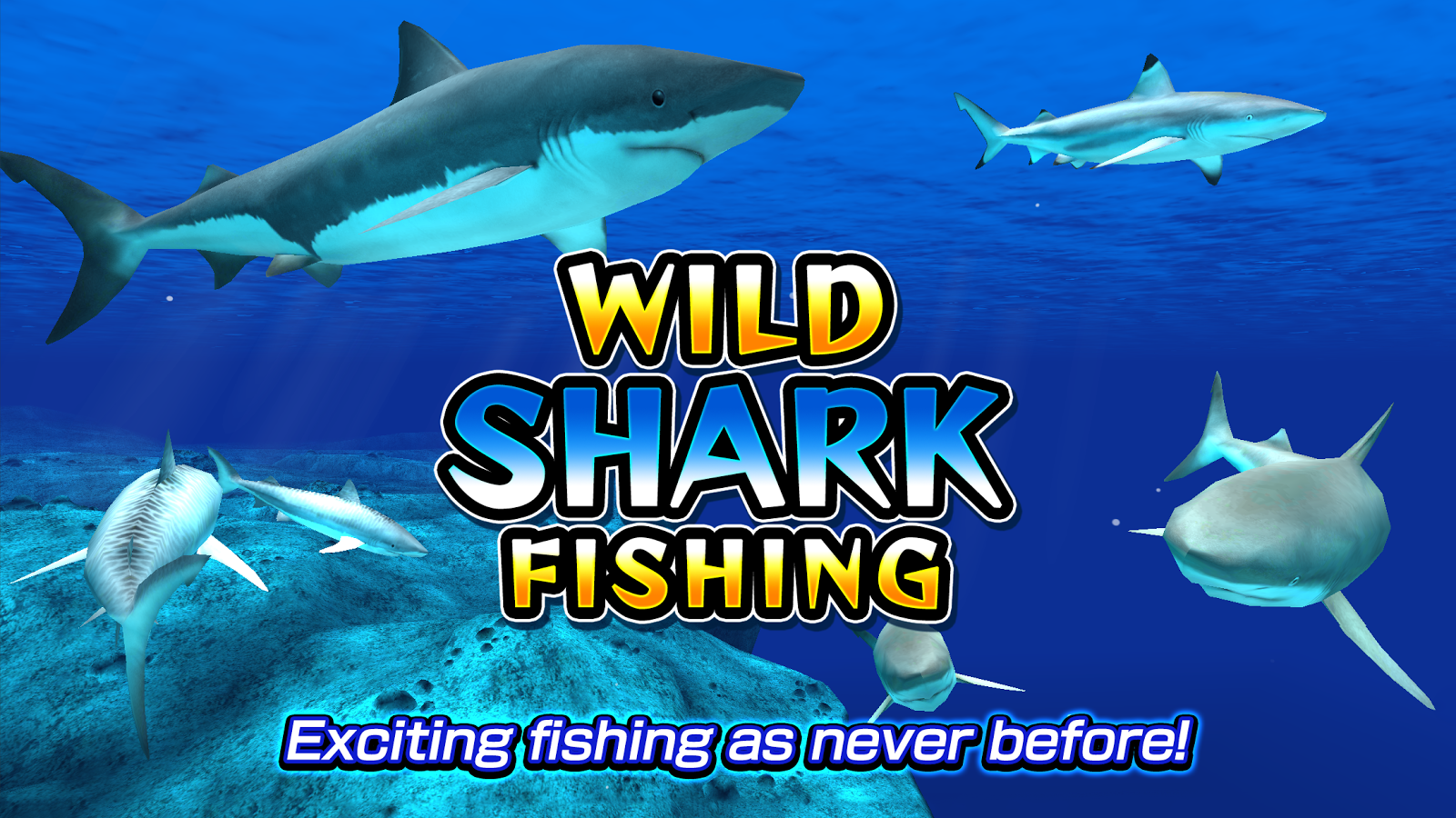 Wild Shark Fishing截图5