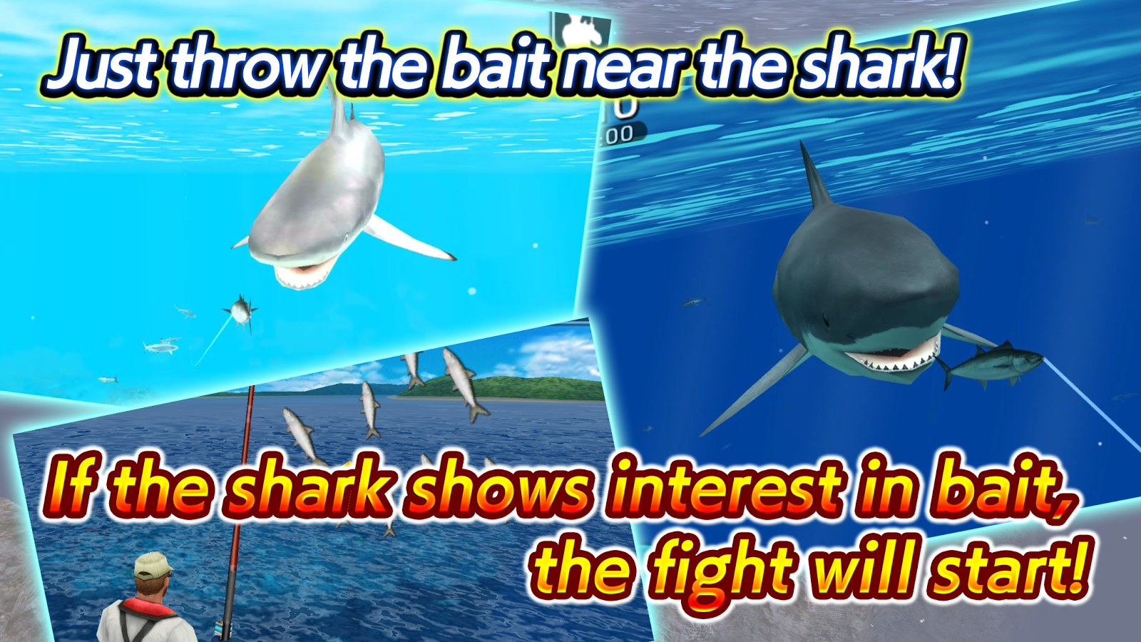 Wild Shark Fishing截图4