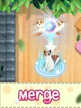 Meowaii Merge cute cat截图5