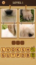 4 Pics 1 Word: Solve the Quiz截图4