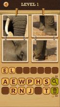 4 Pics 1 Word: Solve the Quiz截图3