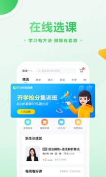 作業(yè)幫直播課截圖