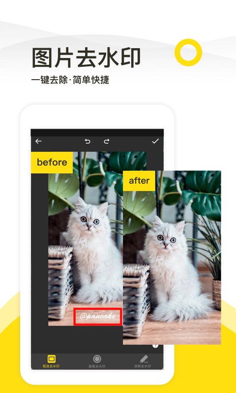 一鍵去水印截圖預(yù)覽