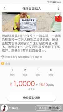 螞蟻同行截圖