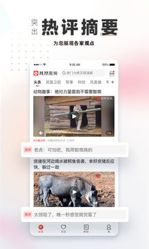 鳳凰視頻截圖
