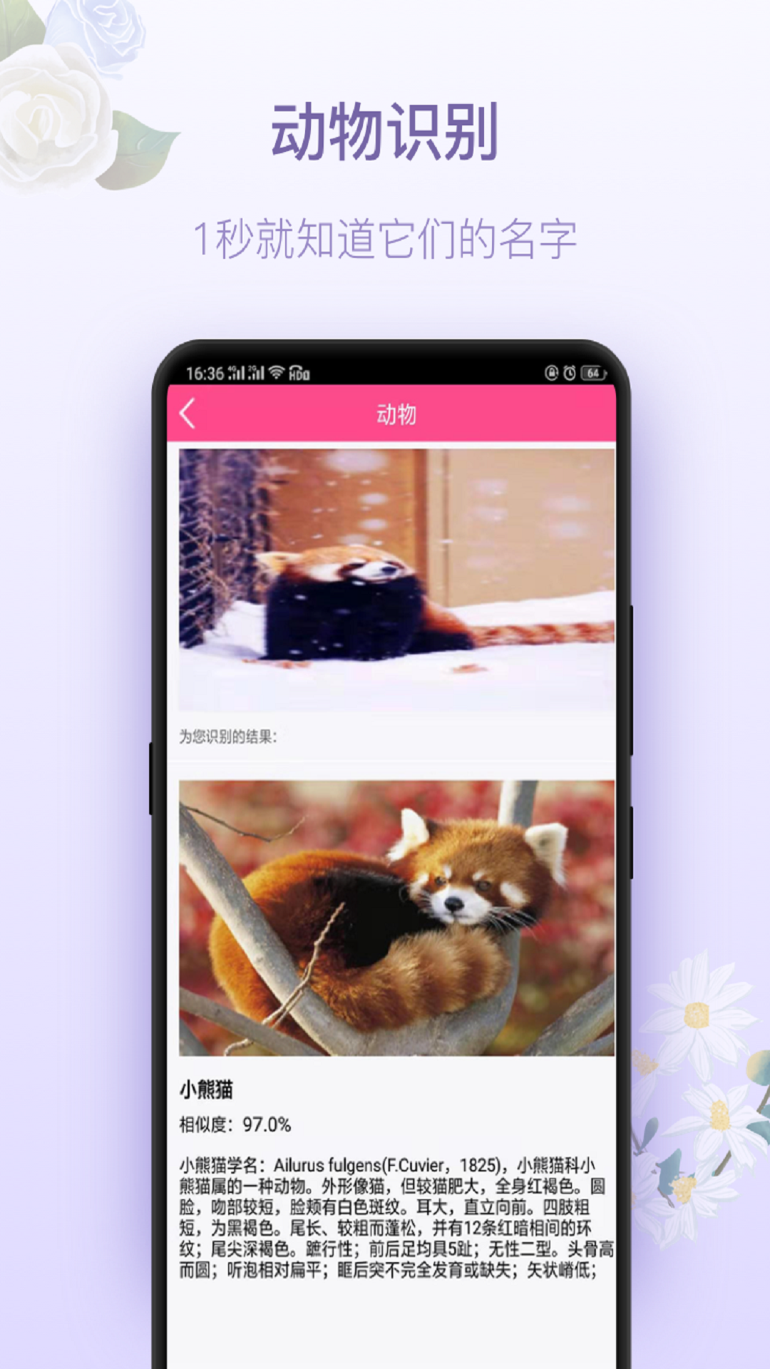 拍照識(shí)花神器截圖預(yù)覽