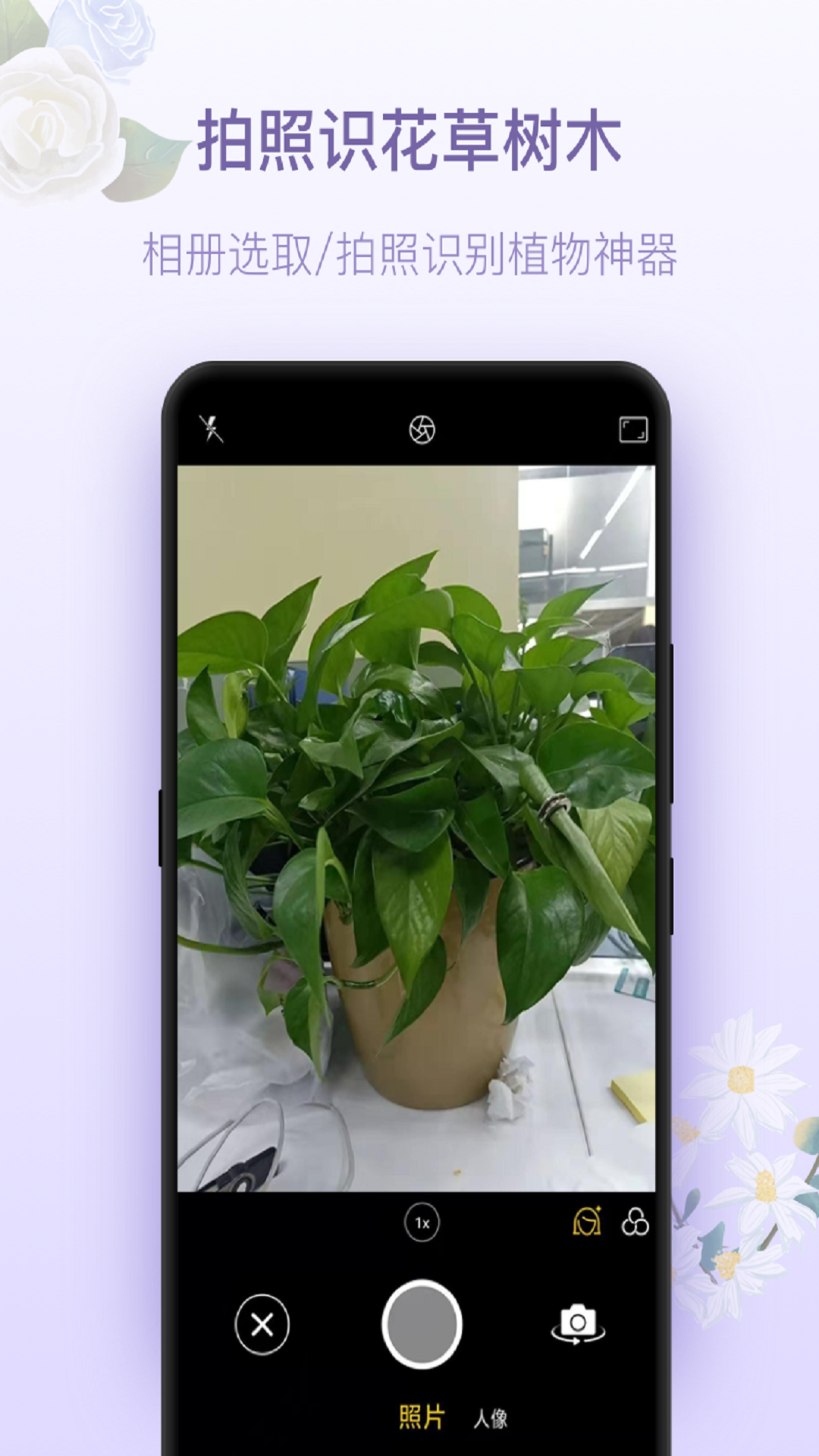 拍照識(shí)花神器截圖預(yù)覽