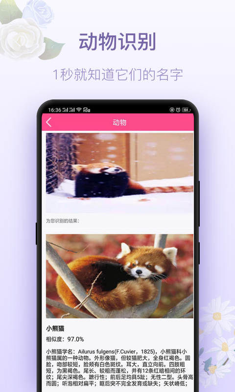 拍照識(shí)花神器截圖預(yù)覽