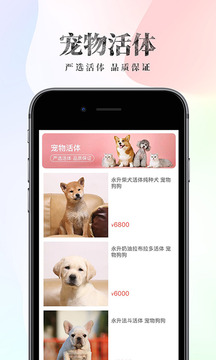波奇寵物截圖