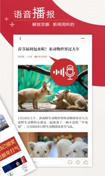 新時報截圖
