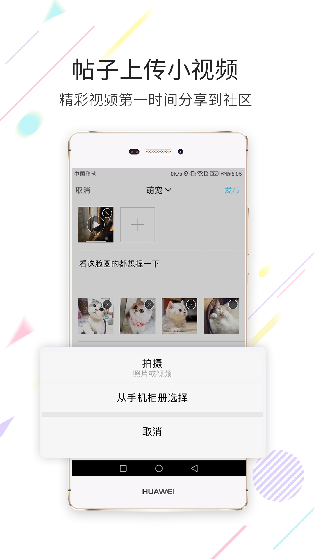 西蜀网v2.4.2截图2