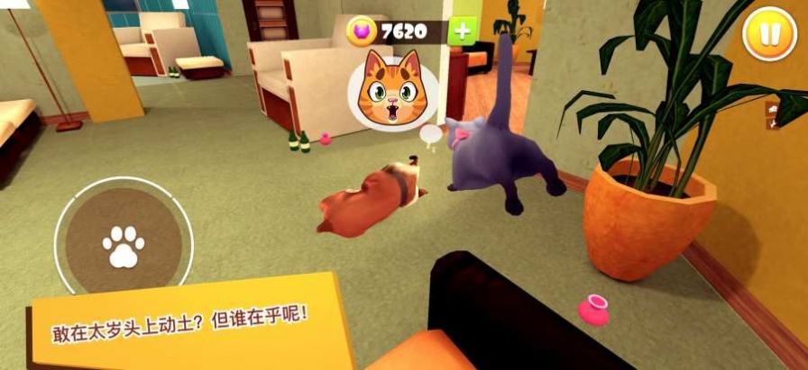 猫咪3D截图3