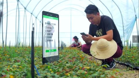 花易寶截圖預(yù)覽