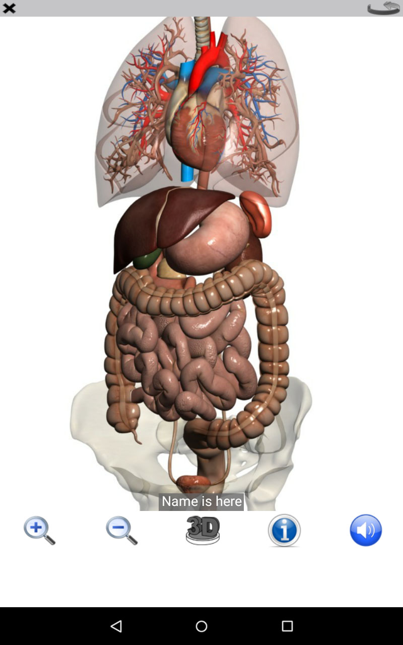 Visual Anatomy Free截图6