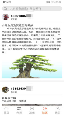 中国小微盆景截图3