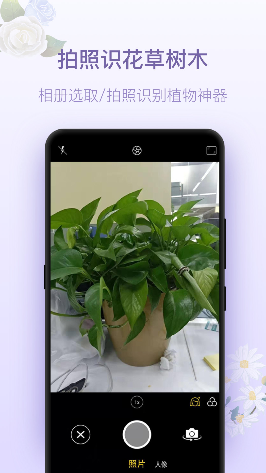 拍照識(shí)花神器截圖預(yù)覽