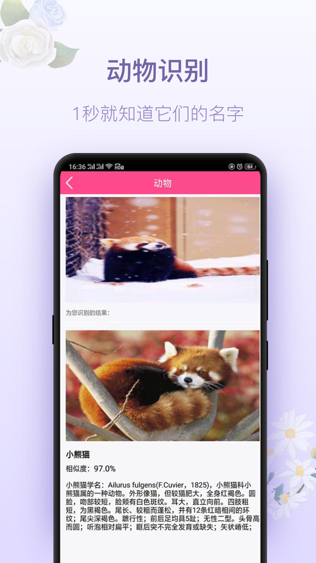 拍照識花神器截圖預(yù)覽