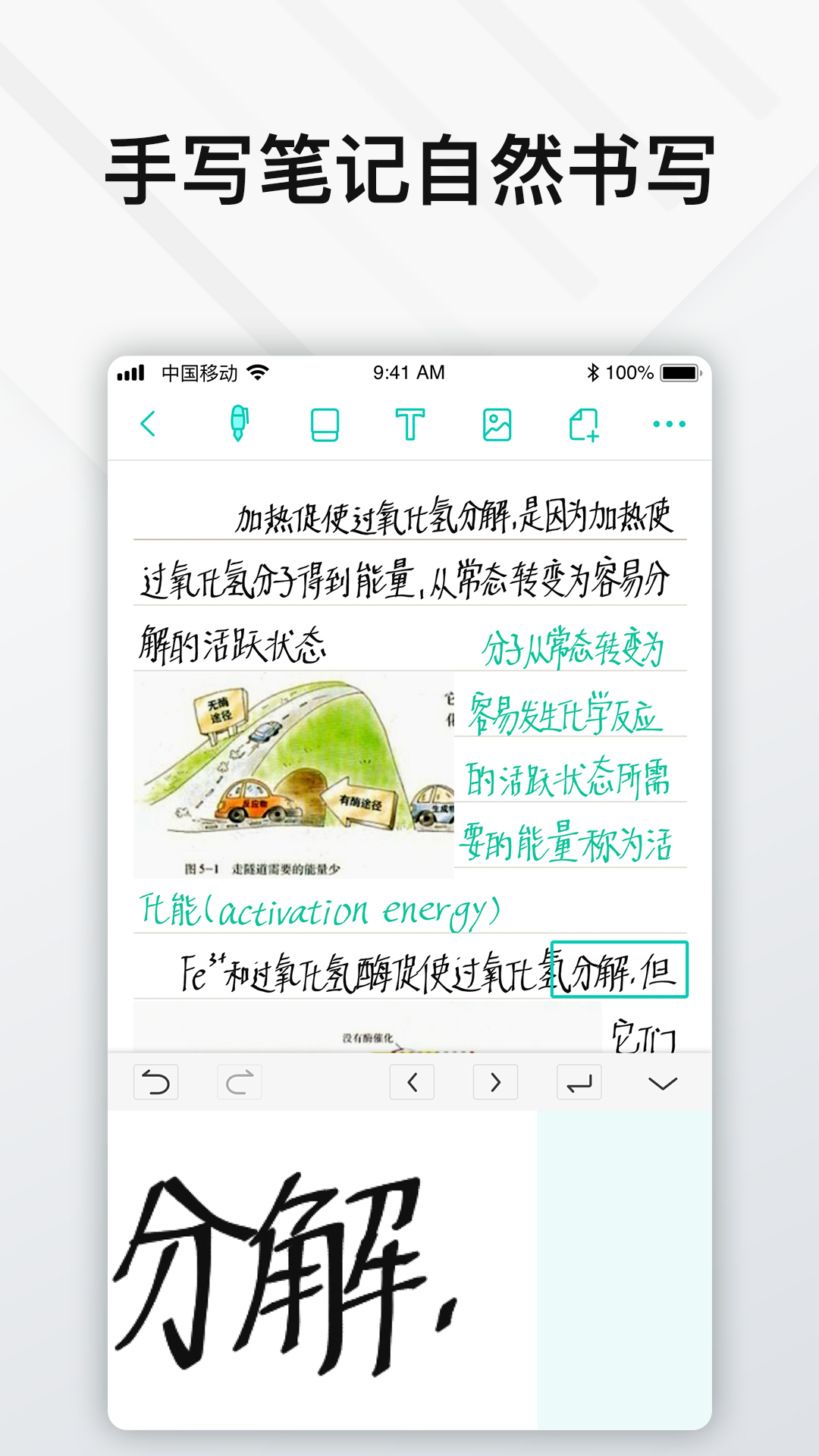 Elfinbook易飞v4.1.0截图3