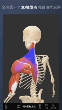 维萨里3D解剖截图