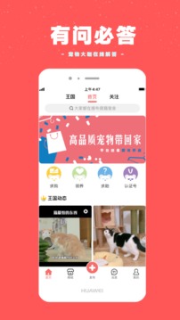 寵物王國截圖