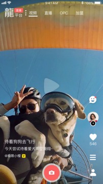 龍平臺影視截圖