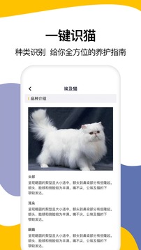貓語翻譯截圖
