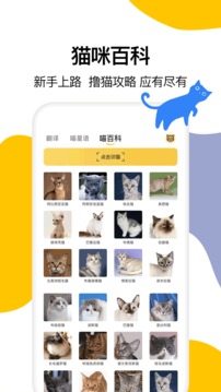 貓語翻譯截圖
