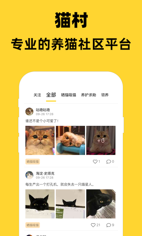 猫村宠物截图1