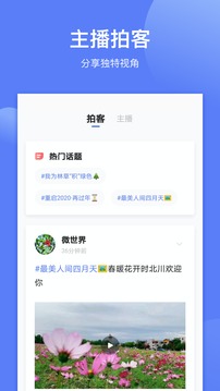 四川觀察截圖