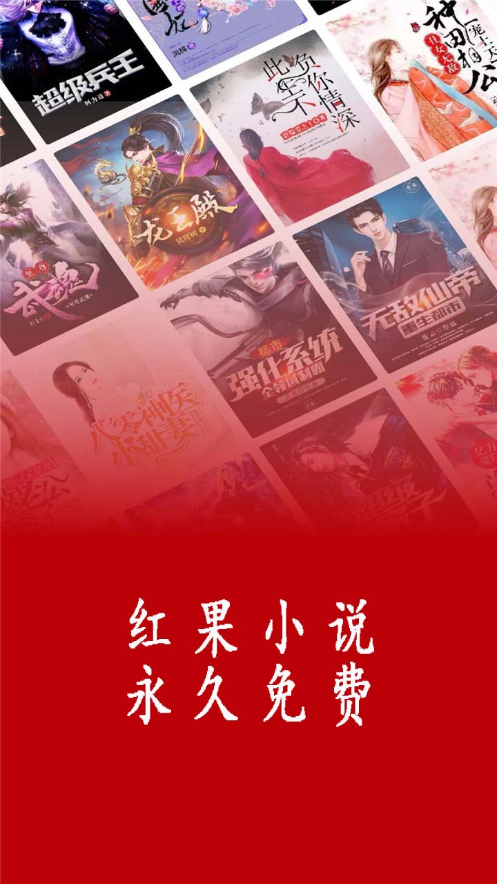 红果小说截图1