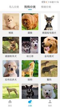 動物翻譯器截圖