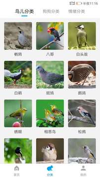 動物翻譯器截圖