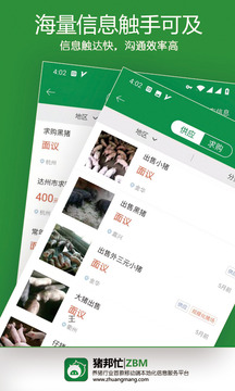 豬邦忙截圖