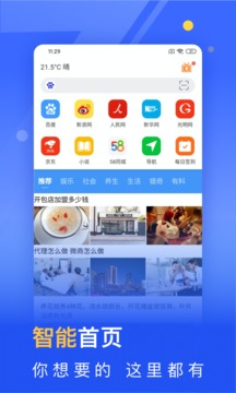 秘密瀏覽器截圖