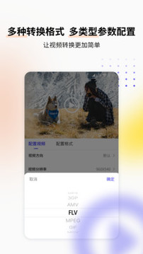 視頻格式轉(zhuǎn)換工具截圖